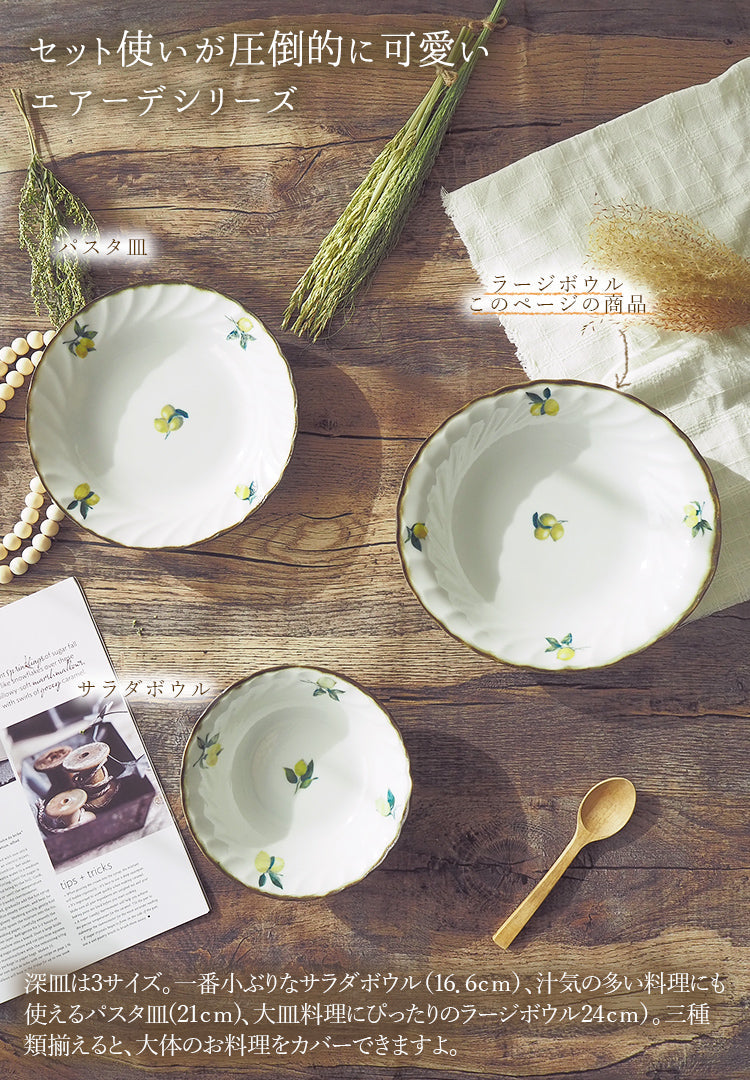 寺門広気さん　大皿　オーバル深皿　ボウル　鉢 寺門広気 皿 寺門広気さん 大皿 オーバル深皿 ボウル 鉢